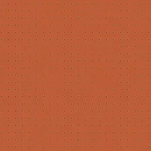 soltis_86-50261